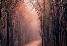 失踪人口回归，皇马中卫巴列霍晒训练照：享受😄.