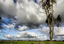 WTA迈阿密站：郑钦文两盘不敌萨巴伦卡遭遇六连败.